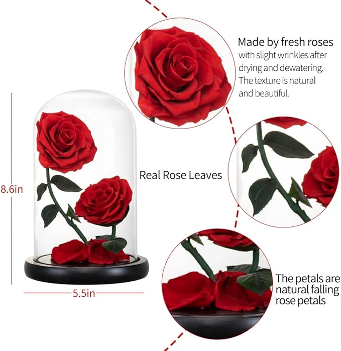 Gifts for Women Forever Preserved Red Rose,Birthday Valentines Day Gift with Red Eternal Flower in Glass Dome,Gifts for Valentine's Day Mothers Day Christmas Anniversary Birthday (#red)