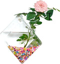 Wall-Mounted Acrylic Planter for Hydroponic Plants – Diamond Vase, Modern Transparent Design for Home & Office Decoration