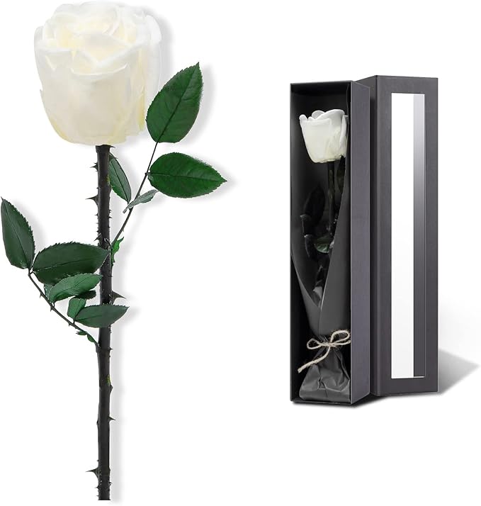 White Flowers for Delivery Prime, Preserved White Roses Flower Gifts for Women, Real Roses Single Rose Gifts for Her, Mom Birthday Gifts from Daughter, Valentines Flowers