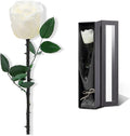 White Flowers for Delivery Prime, Preserved White Roses Flower Gifts for Women, Real Roses Single Rose Gifts for Her, Mom Birthday Gifts from Daughter, Valentines Flowers