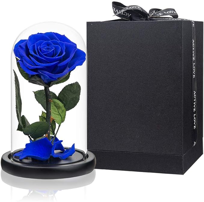 Preserved Roses Royal Blue Roses in Glass Dome, Medium, Preserved Flowers for Women