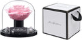 Preserved Roses,Forever Fresh Flowers 4.72in,Gift for Women,Mom,Grandma,Wife,Girlfriend,Sister,and Daughter Perfect for Birthday,Mother’s Day,Valentine’s Day (Soft Blossom5)