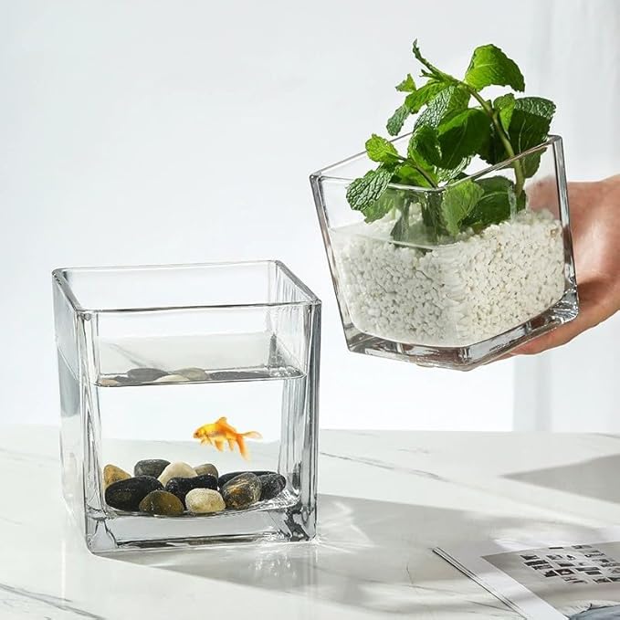 Set of 6 Square Glass Vases for Centerpieces – 4" x 4" x 4" Clear Short Vases, Flower Vase, Plant Terrariums, or Candle Holders for Wedding Centerpieces, Office Decor, Home Décor, Parties