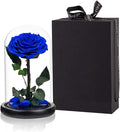 Preserved Roses Handmade Rose in Glass Dome, Preserved Flowers Never Withered Romantic Gifts for Her, Mother's Day, Birthday Gifts for Women (9 inch, Blue)