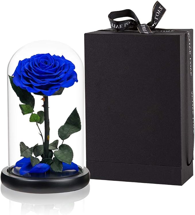 Preserved Roses Handmade Rose in Glass Dome, Preserved Flowers Never Withered Romantic Gifts for Her, Mother's Day, Birthday Gifts for Women (9 inch, Blue)