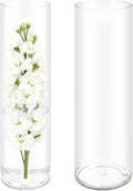 Olrla 2 Sets Tall Transparent Acrylic Flower Vase Height 15.75'', Shatter-Proof Clear Cylinder Vase for Tall Branches Flowers