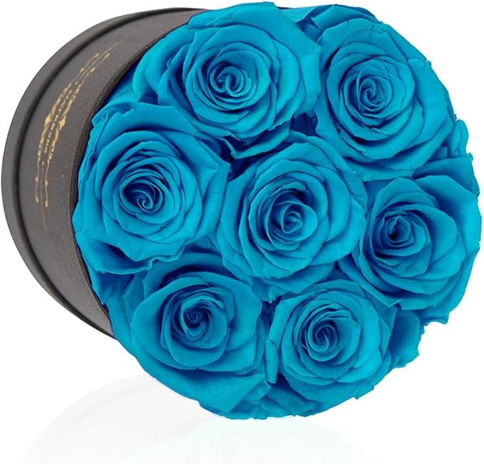 NATROSES 7 Piece Preserved Roses in a Box, Preserved Flowers for Birthday, Flower Gifts for Mothers Day (Blue)