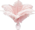 Piokio 20 pcs Natural Light Pink Ostrich Feathers 12-14 inch(30-35 cm) Bulk for Wedding Party Centerpieces and DIY Clothes Decoration, Gatsby Decorations
