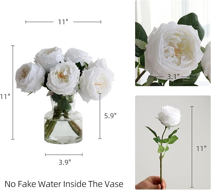 6Pcs Fake Austin Rose Peonies Flowers with Vase, Clear Glass Vase with White Real Touch Peonies Artificial Flowers Home Decor(White)