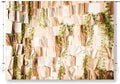 7x5FT Book Photography Backdrop Vintage Book Green Leaves Backdrop for Kids Adults Birthday Baby Shower Party Decorations Supplies KUBDJ942