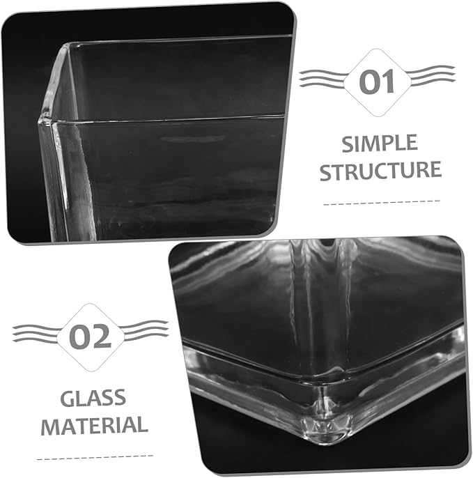 NUOBESTY Clear Thickened Square Glass Vase for Hydroponic Plants Modern Decorative Flower Container Smooth Touch Table Centerpiece for Home and Office