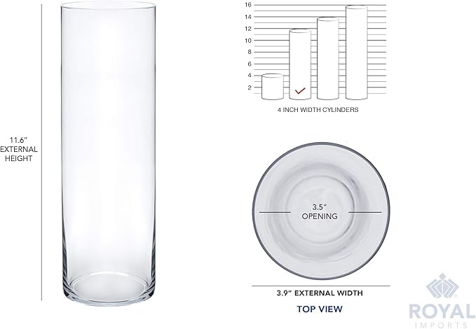 Royal Imports Flower Glass Vase Decorative Centerpiece for Home or Wedding - Cylinder Shape (4" wide x 12" tall, Clear)