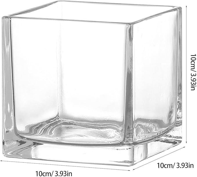 Healifty Clear Square Glass Vase Thick Transparent Cube Hydroponic Planter Modern Decorative Flower Container for Home Table Centerpiece