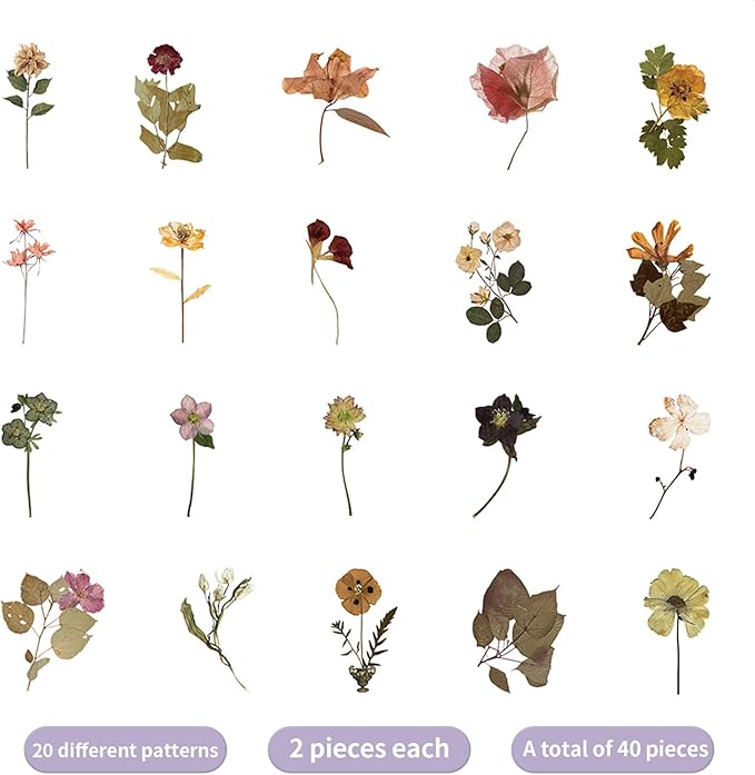 Transparent Flower Stickers for Scrapbooking PET Nature Plant Stickers Floral Stickers Vintage Craft Sticker Colorful Small Flower Sticker for Journaling Scrapbooking Clear Flower Decals(Style D)