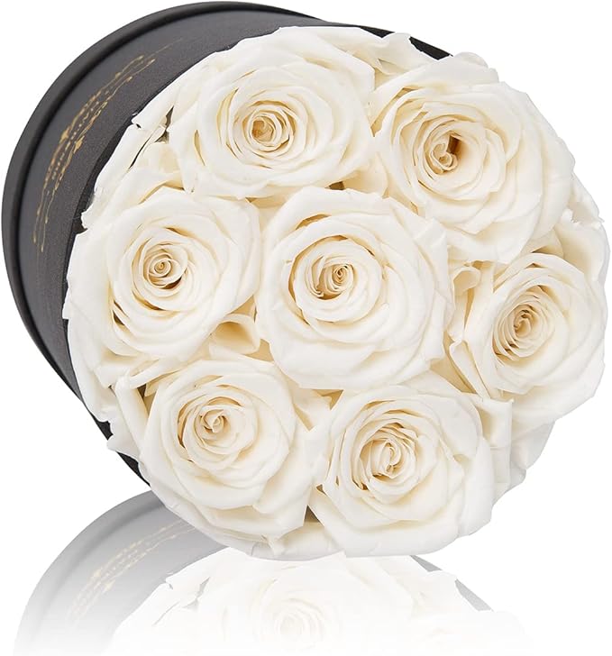 NATROSES 7 Piece Preserved Roses in a Box, Preserved Flowers for Birthday, Flower Gifts for Mothers Day (White)