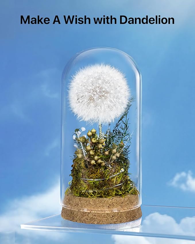 JoyFlower Preserved Dandelion in Glass Dome, Real Dandelion Eternal Flowers Gifts for Women, Preserved Flower Friendship Gifts for Girlfriend Best Friend Sisters Daughter Birthday Graduation Gift