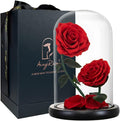 Gifts for Women Forever Preserved Red Rose,Birthday Valentines Day Gift with Red Eternal Flower in Glass Dome,Gifts for Valentine's Day Mothers Day Christmas Anniversary Birthday (#red)