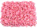 10Pcs 16"x 24" Artificial Flower Wall Panels,Flower Wall Mat Silk Flower Panels for Outdoor Garden Backyard Fence Fence Privacy Screen and Indoor Wall Decor (10Pcs Pink)