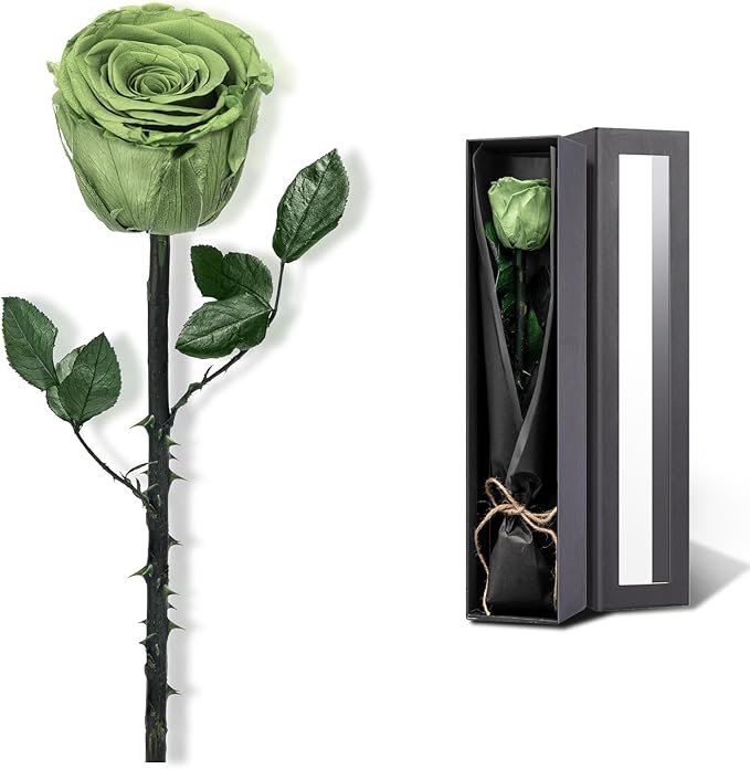 Green Flowers for Delivery Prime, Preserved Green Roses Flower Gifts for Women, Real Roses Single Rose Gifts for Her, Mom Birthday Gifts from Daughter, Valentines Flowers