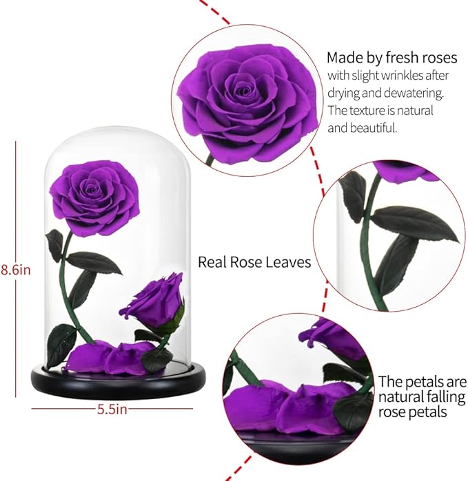 Forever Preserved Rose Gifts for Women Flower Rose in A Glass Dome Anniversary for Mom Her Valentines,Anniversary (Purple)