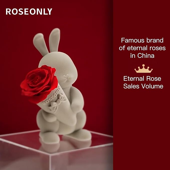 roseonly. Preserved Rose with Sweet Bunny, Eternal Flowers Gifts for Women Girlfriend Wife Mothers Real Roses for Valentine's Day Christmas Birthday Mother's Day Anniversary (Mini)