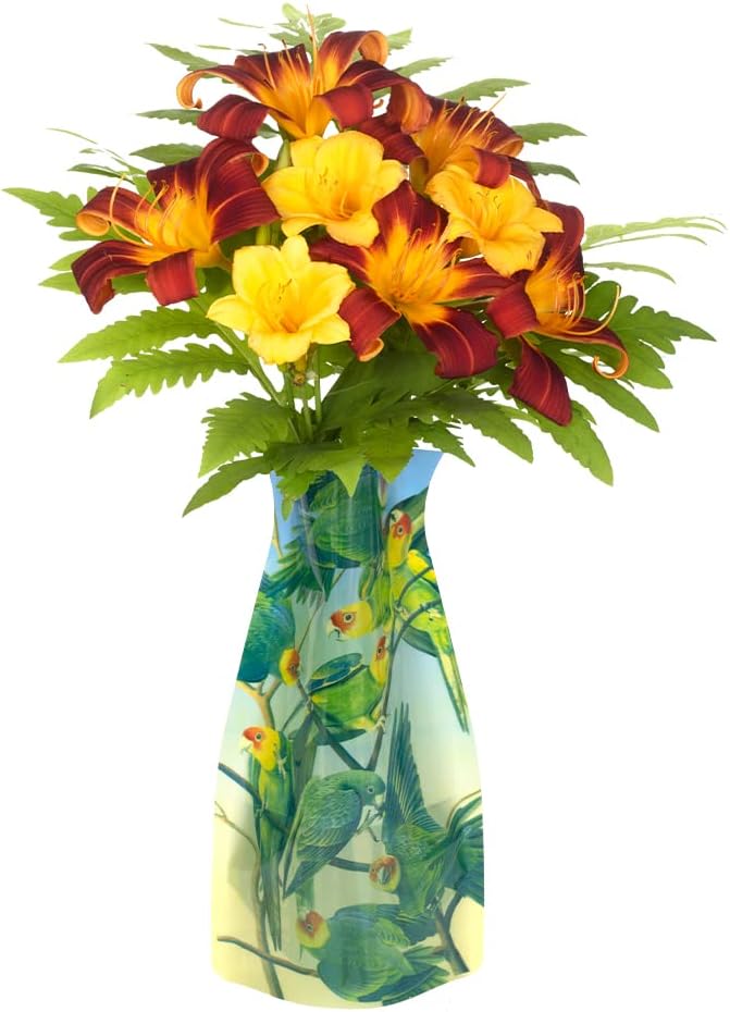 MODGY Expandable Flower Vase Plastic Decorative Modern Vases for Flowers Centerpieces Dining Table Decor Living Room Bathroom Wedding Office, Audubon Parakeets