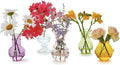 Two's Company Verre Hand-Blown Bud Vases, Glass, Set of 5