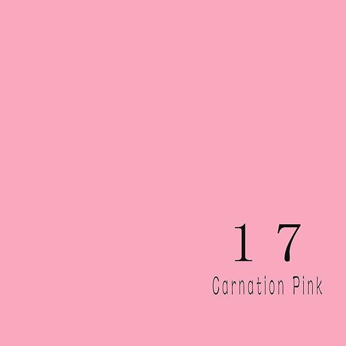 Huamei Seamless Photography Background Paper, Pink Photo Backdrop Paper Roll for Photoshoot, Video and Streaming #17 (6.8x16 Feet,Carnation Pink)