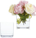 2 Pack Acrylic Cube Vases 4 X 4 Inch, Clear Square Vases, Shatterproof Flower Vase Decorative Centerpiece for Home, Wedding