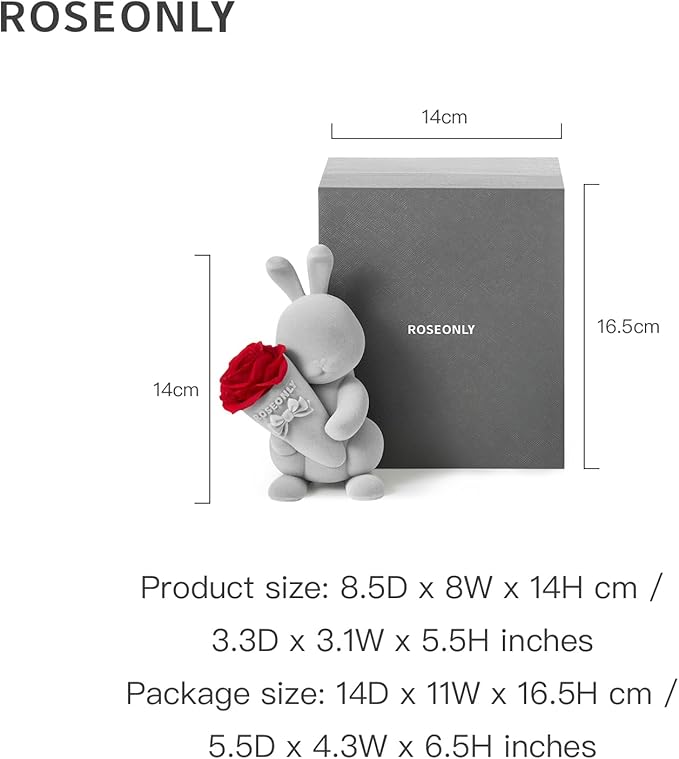 roseonly. Preserved Rose with Sweet Bunny, Eternal Flowers Gifts for Women Girlfriend Wife Mothers Real Roses for Valentine's Day Christmas Birthday Mother's Day Anniversary (Mini)