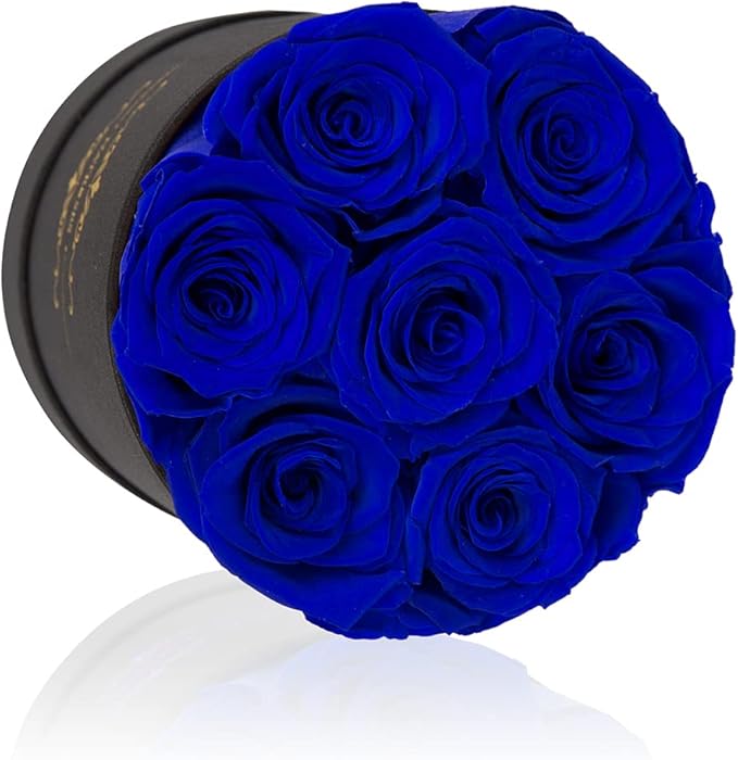NATROSES 7 Piece Preserved Roses in a Box, Preserved Flowers for Birthday, Flower Gifts for Mothers Day (Royal Blue)