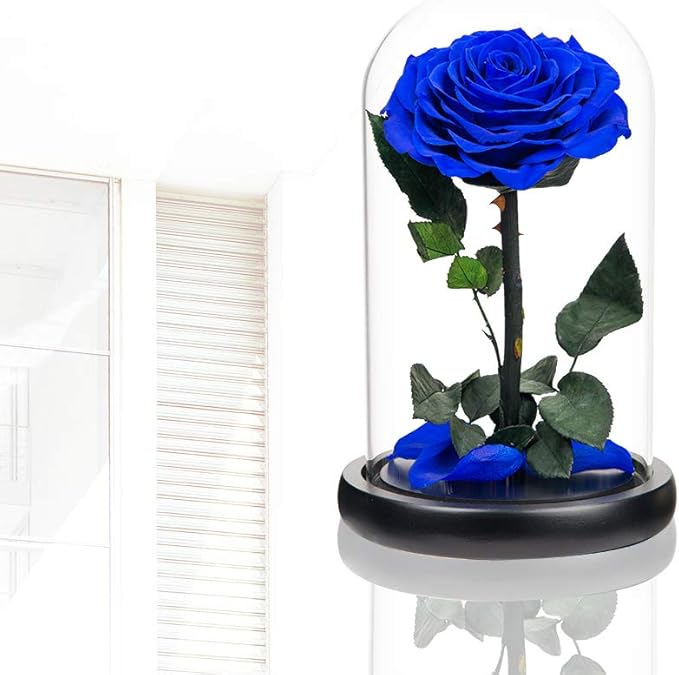 Preserved Roses Handmade Rose in Glass Dome, Preserved Flowers Never Withered Romantic Gifts for Her, Mother's Day, Birthday Gifts for Women (9 inch, Blue)