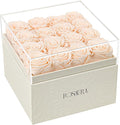 Rosaura Square Preserved Roses Gift Box - Real Forever Flowers in Clear Acrylic Lid, Valentine's for Women (Champagne, 16 Roses)