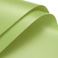 MECCANIXITY Pearlescent Film Flower Wrapping Paper 22.8x22.8 Inch Waterproof for DIY Crafts, Gift/Gift Box Packaging Tea Green Pack of 20