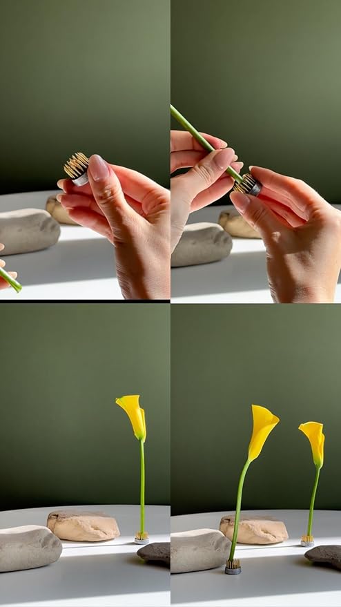 Round Flower Arrangers, Flower Frog Kenzan Fixed Tools, Flower Holder for Ikebana, Floral Arrangement Vase, Fixation and Decoration (6)