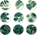ANATTASOUL Coasters Set of 9 Tropical Leaves Pattern Colorful Wooden Coasters Bulk Round Housewarming Gift for New Home, 3.9" Decorative Coffee Table Protection for Farmhouse Bar House Decor