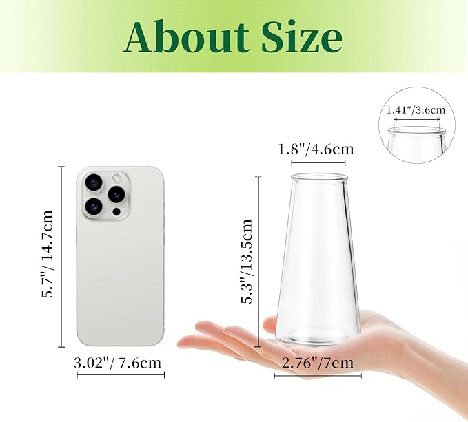 Hewory Glass Bud Vases for Centerpieces: Small Clear Modern Flower Vase Set of 24, Minimalist Cute Mini Decorative Bulk Vases for Wedding Birthday Bridal Shower Party Events Dining Room Table Decor
