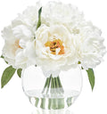 WELL KNOWN Artificial Flowers in Vase, Peonies Artificial Flowers for vase with Faux Water for Coffee Table Decor, Silk Fake Flower Arrangements Peonies Table Centerpieces (White)