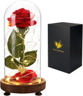 Christmas Birthday Gifts for Women,Beauty and The Beast Rose in Glass Dome,Silk Rose Forever Flowers with Lights,Mom Gift,Romantic Gifts for Her,Anniversary Flower Gifts for Women,Gifts for Girlfriend