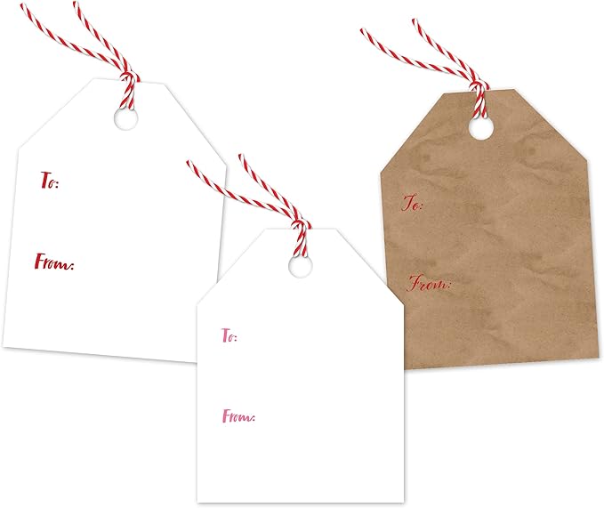 Pro Supply Global 24 Count of 2.5 Inch x 3 Inch Pre Strung XOXO Valentine's Day Gift Tag Assorted Printed Designs on Large Cardstock Gift Hang Tags - Ideal to Use on Bags