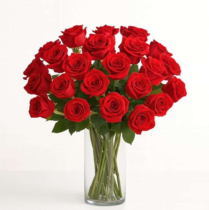 BloomsyBox - Red Roses - 24 Long Stems, Long Lasting, Hand-Tied in Eco-friendly, Vase Not Included, Fresh Flowers for Delivery – Gift for Birthday, Anniversary, Get Well, Congratulations, Wedding
