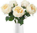 IPOPU 5PCS Real Touch Austin Roses Champagne Flowers Peony Artificial Flowers Fake Roses with Stems for Wedding Bouquet Party Home Decor(Champagne)