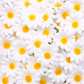 JOHOUSE 200PCS Silk Daisy Flower Heads for DIY Crafts - 1.5 Inch Gerbera Chrysanthemum Artificial Daisies for Bouquets, Baby Showers, Wedding & Home Decor