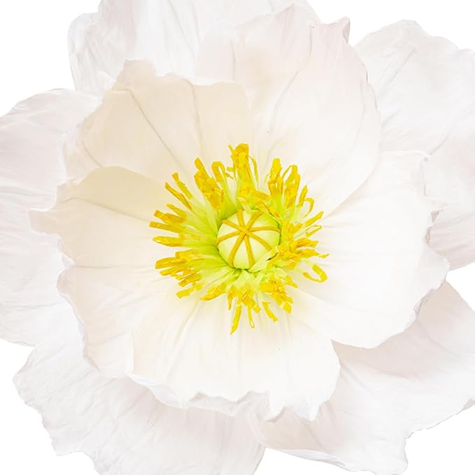 16"/12" 3 Pcs White Large Paper Flower Decoration for Party, Wedding Decoration, Background Wall, Nursery Room Decoration, Bridal Shower, Baby Shower (White,Set/3)
