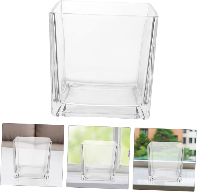 NUOBESTY Clear Thickened Square Glass Vase for Hydroponic Plants Modern Decorative Flower Container Smooth Touch Table Centerpiece for Home and Office