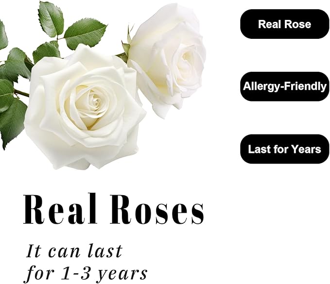 Luxury Preserved Roses – Forever Real Roses Flowers for Delivery in a White Box, Preserved Flowers Birthday Gifts for Women Mom Wife, Ideal for Anniversary (White 16 Roses, 16 Roses)