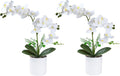 2 Pcs White Fake Orchids Orchid Orchidwith Pot Bendable Shape Washable Orchid Phalaenopsis for Decorate Office Desktop Decoration Bathroom Wedding Dining Table Office Decorations