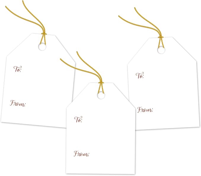 Pro Supply Global 24 Count of 2.5 Inch x 3 Inch Pre Strung Bows Valentine's Day Gift Tag Assorted Printed Designs on Large Cardstock Gift Hang Tags - Ideal to Use on Bags