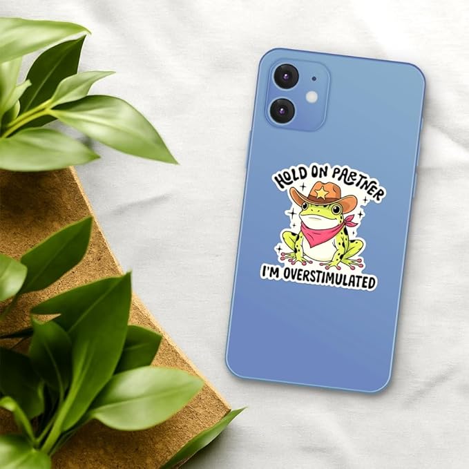 HANDICHI Design 5-Pack 5 Inch Hold On Partner I’m Overstimulated Stickers – Funny Meme Vinyl Decals for Water Bottles, Laptops, Journals, Scrapbooks – Sarcastic Gift for Frog Lovers