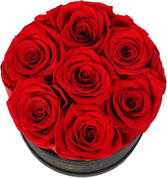 NATROSES 7 Piece Preserved Roses in a Box, Preserved Flowers for Birthday, Flower Gifts for Mothers Day (Red)